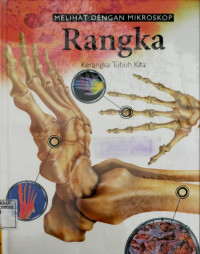 Melihat dengan mikroskop rangka., Kerangka tubuh kita