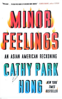 Minor Feelings an Asian American Reckoning